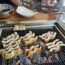 장안민물장어 | 참숯 향 가득! 겉바속촉 통통한 민물장어 구이 맛집 수원 은행나무 참숯 풍천민물장어 내돈내 후기
