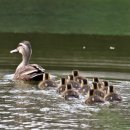 새로운세상 이미지