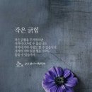 홍천농장 이미지