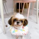 논현동물병원 이미지