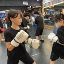 용인대SM복싱클럽도화점 | 주안 복싱, 도화동 복싱 입문은 여기서 시작하세요 — SM복싱클럽 도화점