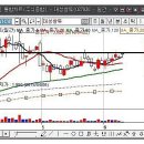 와이디인베스트