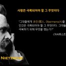 니체에게 배우는 인생 공부 이미지