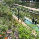 자연-탄생 이미지