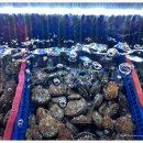 착한낙지 이미지