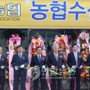 농협수삼랜드 - 14705 | 농협수삼랜드