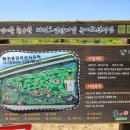 용암리선사유적 이미지