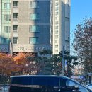 신영피부과의원 | 에스앤유피부과 화염상모반 아이 붉은점 치료후기