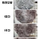 인셀덤글로리 - 중구 | 인셀덤글로리