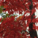 몽촌토성역 이미지