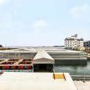 스타바다좌대낚시터 이미지