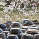 동헌농장 이미지