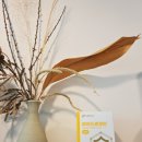 의정부 공간대여 | 의정부공간대여, 의정부장소대여 클라운지 경기의정부1호점 솔직후기