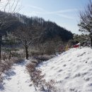 와수리약국