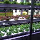 김진수농장 이미지