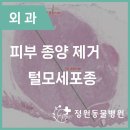 정원동물병원 이미지