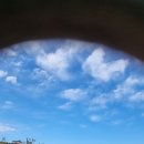주영석횟집