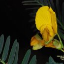 파주대원초등학교 이미지