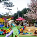 보리산캠핑장 이미지