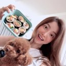 품은김밥