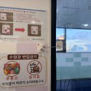 펀지키즈풀빌라6 이미지