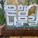 아산 곡교천 은행나무숲길 이미지