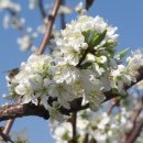 운문가는길 이미지