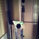 우리집 개구쟁이 이미지