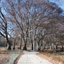 지성마을 이미지