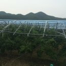 형근농장 이미지