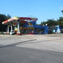 하양혈리 이미지