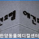 한양동물메디컬센터 이미지