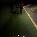 용인시수지구치매안심센터 이미지