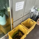 만전당길 이미지