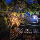 솔향기힐링펜션 이미지