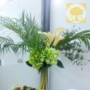 (주)디디에스 이미지