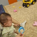 성인문해(하남종합문화센터) | 하남 미사 쥬라리움 키즈카페와 실내 동물원 8개월 아기와 아쉬웠던 후기