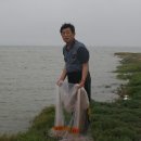 투망
