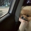 고센의원 이미지