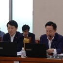 선산(양평) 이미지