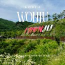 카아트 | [원주] 소금산 케이블카 이용 코스, 요금·할인·미디어아트센터까지 총정리