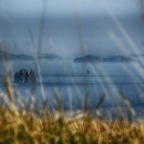 바다새민박 이미지