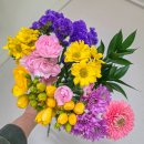 지정초등학교 이미지