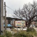 해마루펜션 | 삼척여행: 삼척 해마루 애견동반펜션 숙박 후기