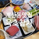 육초참치 이미지