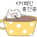 카페폴리 - 통영시 | 카페폴리