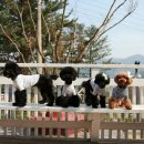 스위트몽 이미지