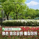 중앙공원내 매점 옆 | 평촌 중앙공원 튤립 실시간 개화현황 주차장 피크닉 정보 (애견동반 가능)