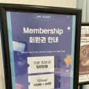 안느테라피