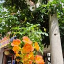 흥부빈대떡 이미지